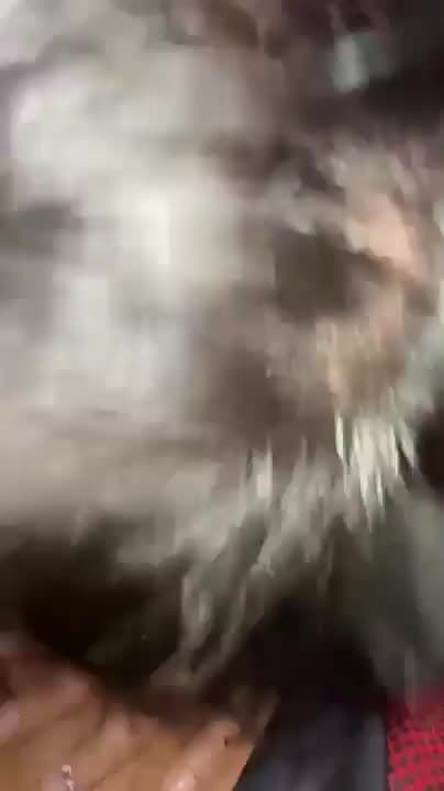 Hot brazillian tatted slut gets backshots and sucks fat dick leaked hot