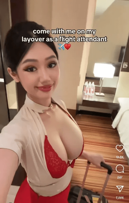 MY Flight Attendant, comment for more