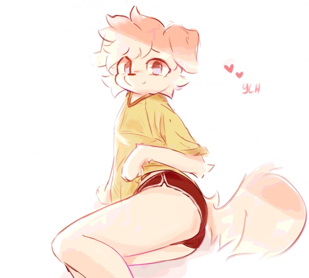 FURRY PAWS FURRY PAWS FURRY PAWS