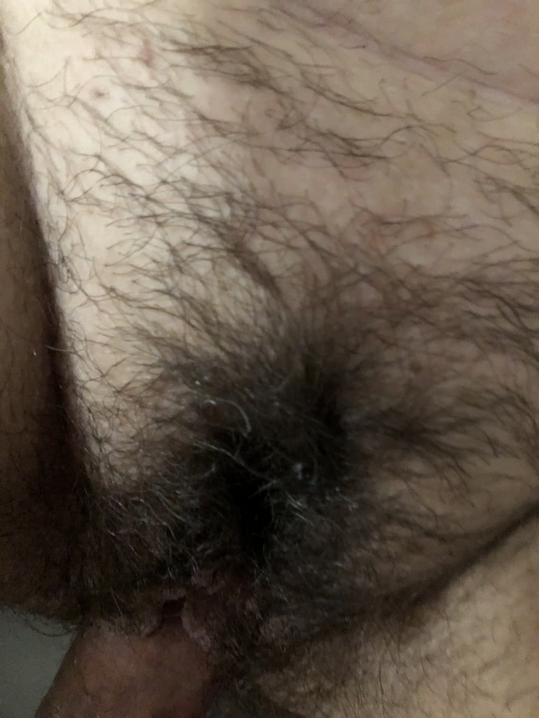Hairy wife hairy tits and armpits