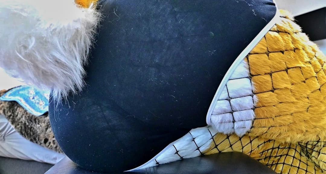 [FURRY/GAS] ?? deer fursuiter teasing and having gas (ļôťûșľâfâŵń/jǎčķâļșťŷļê)