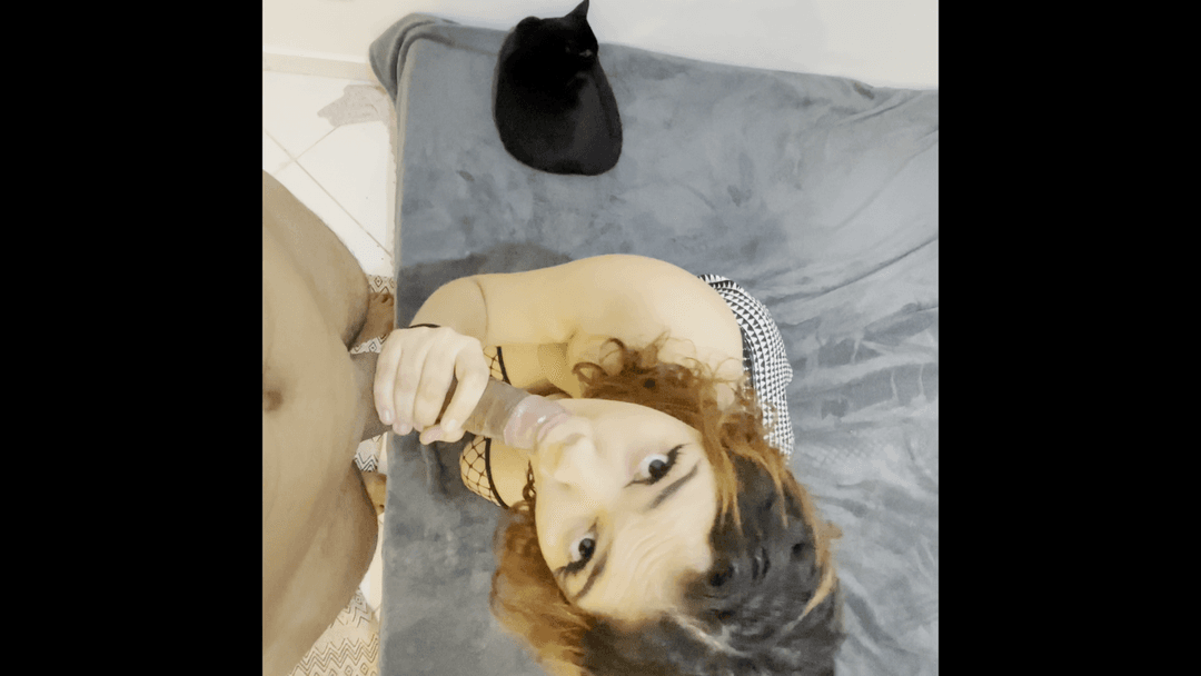 id#4629426 - Exclusivo$