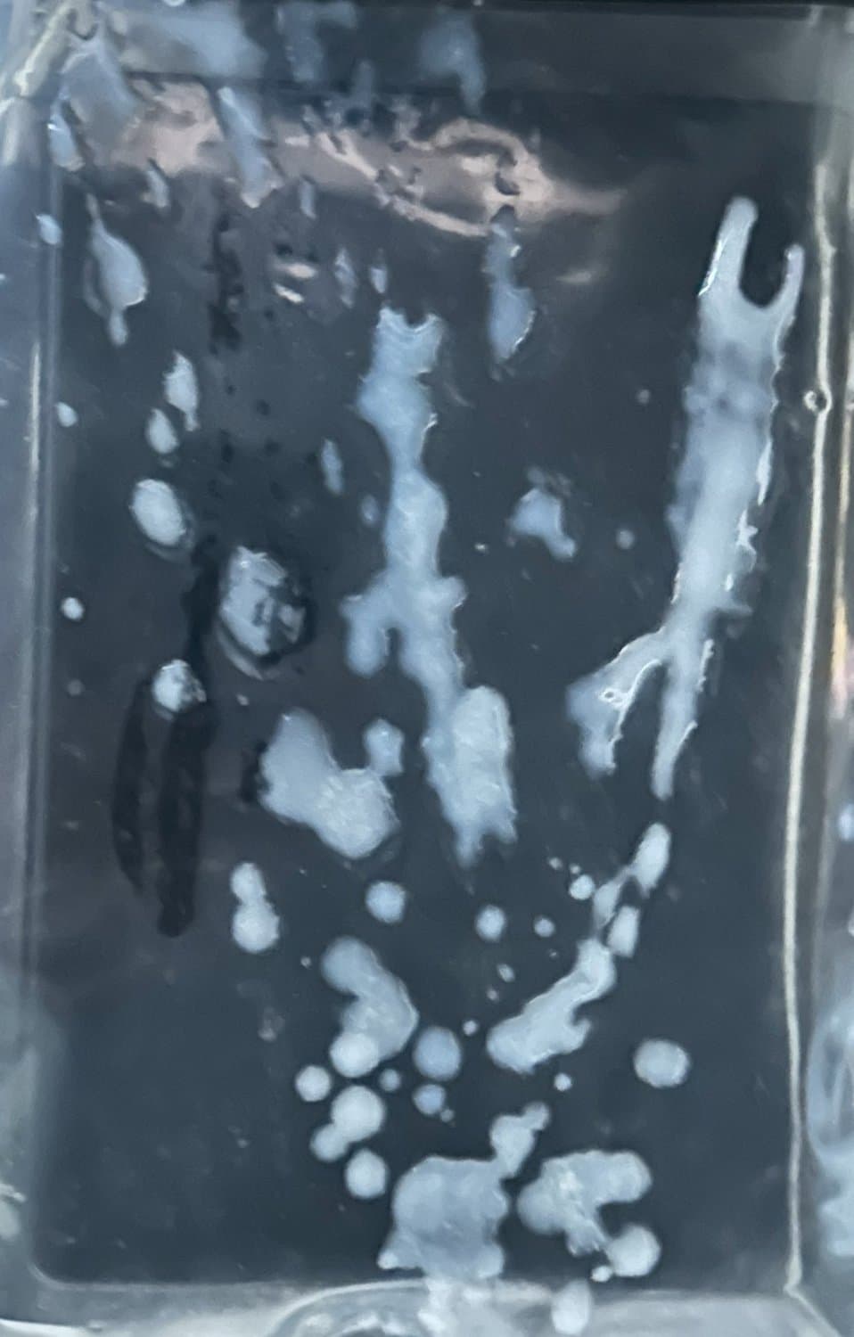 Click to view full size 4th of July trib!