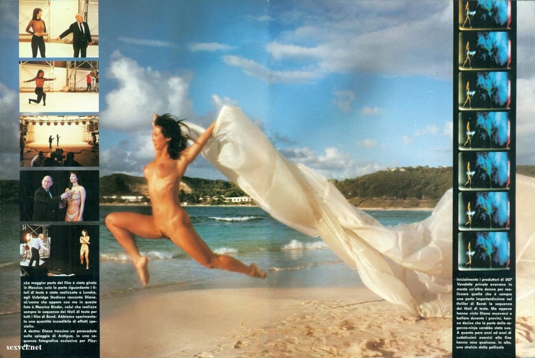 Diana Lee, Diana Hsu aka Diana Le nude sexy leaked 001