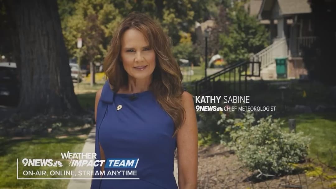 Kathy Sabine Denver news milf