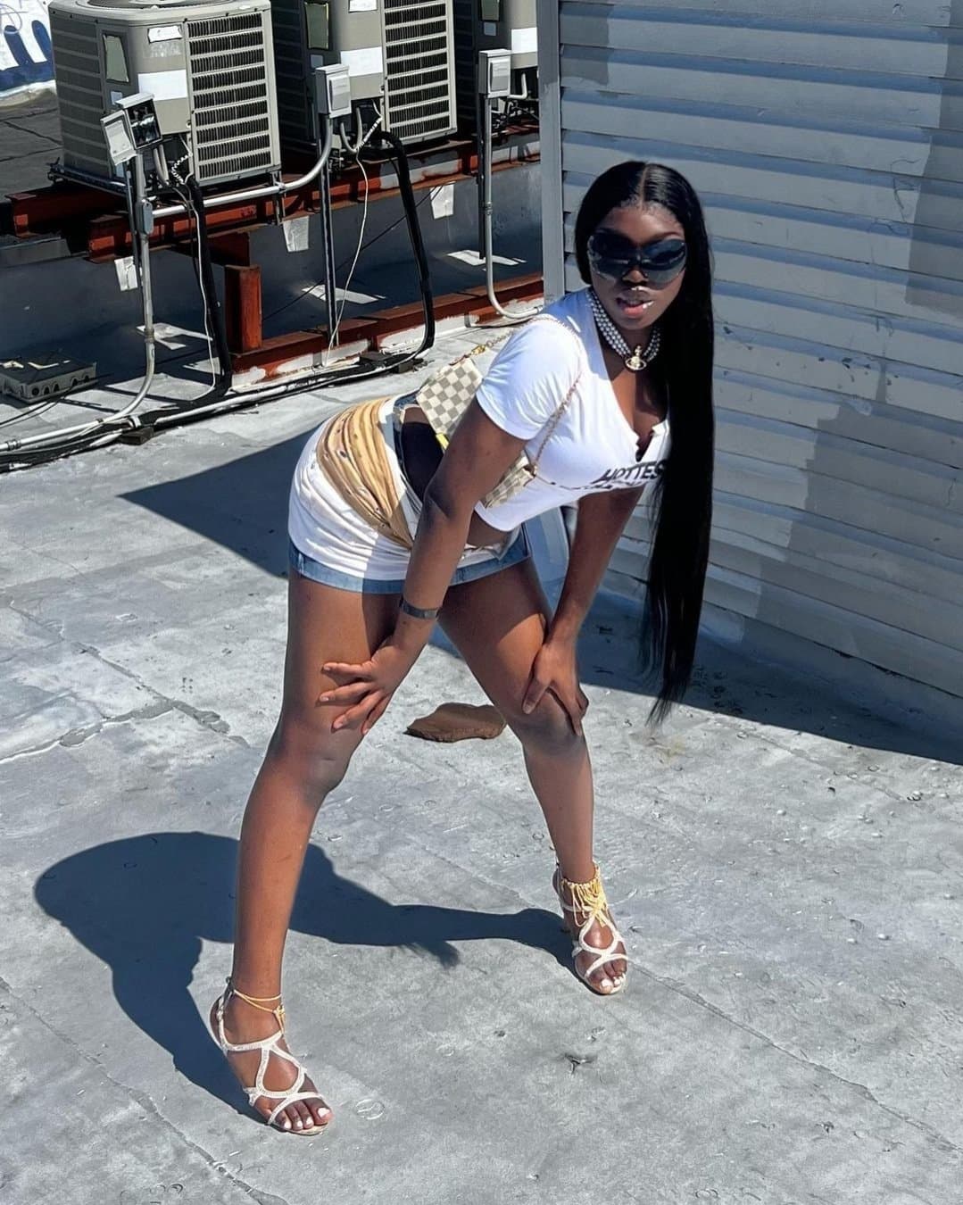 Dark Skinned Bimbo Barbie