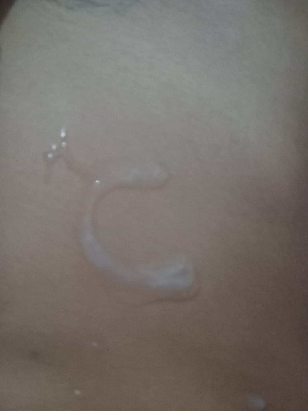 Primer paja del 2026 y primer video