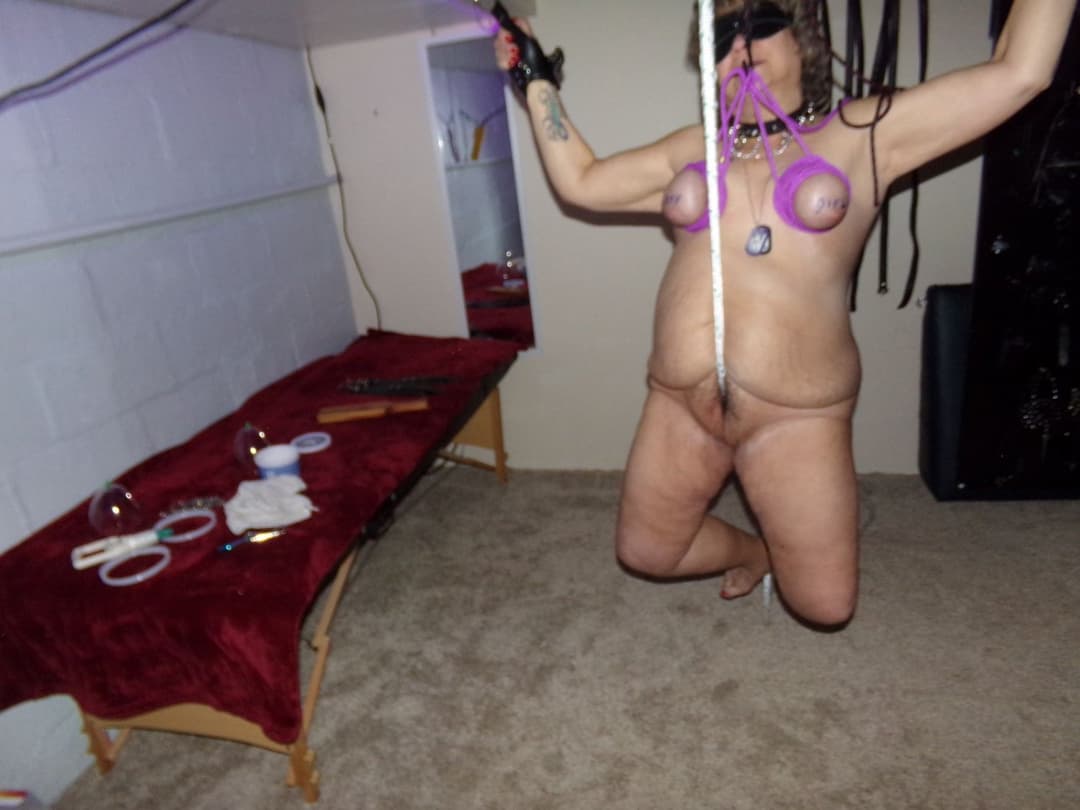 Fat pain pig used like a piece of meat