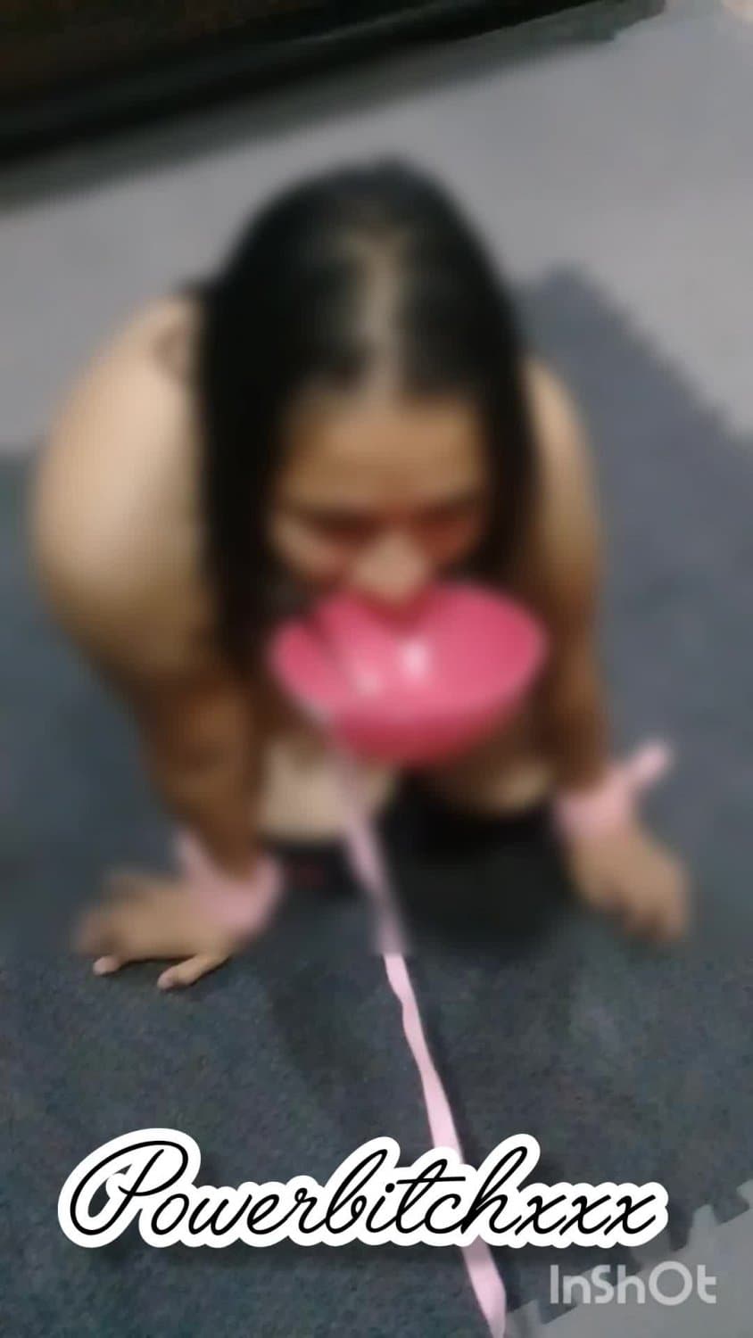 Powerbitchxxx Is a good sexual slave pet
