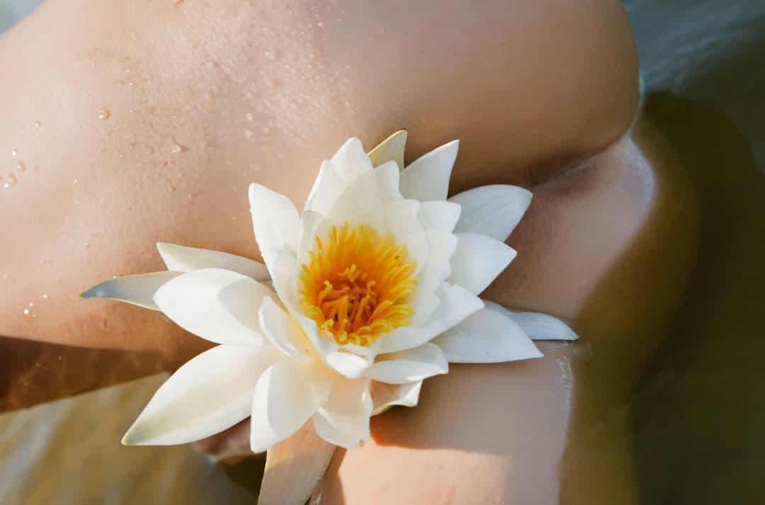 Nicola S -:Lilly Flower (2025)