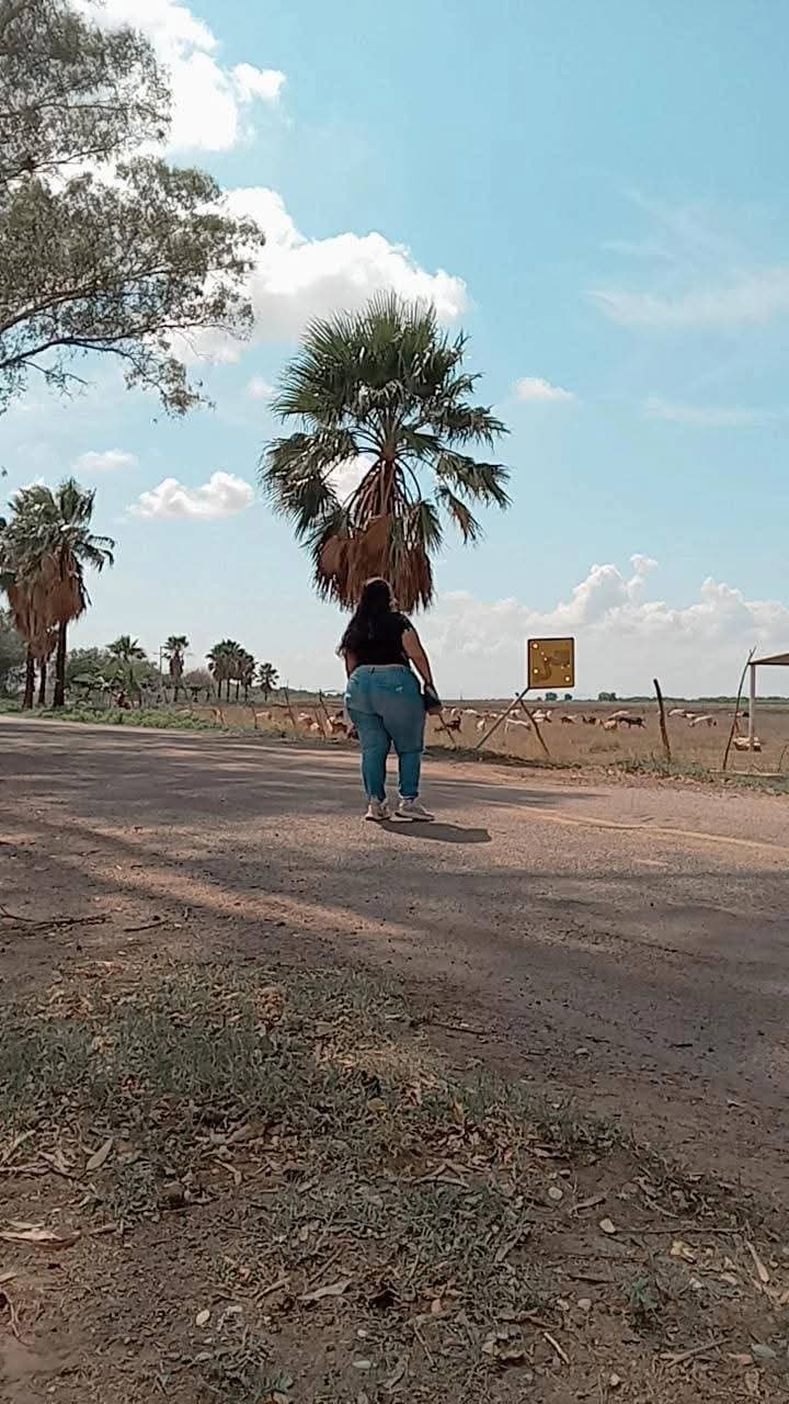 PEAR SHAPE THICK CURVY LATINA SSBBW BIG BOOTY ASS