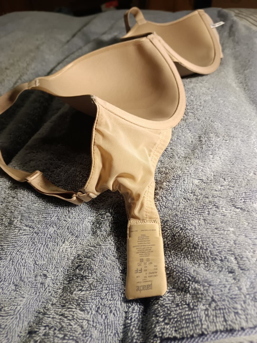 cum bra my stepsister