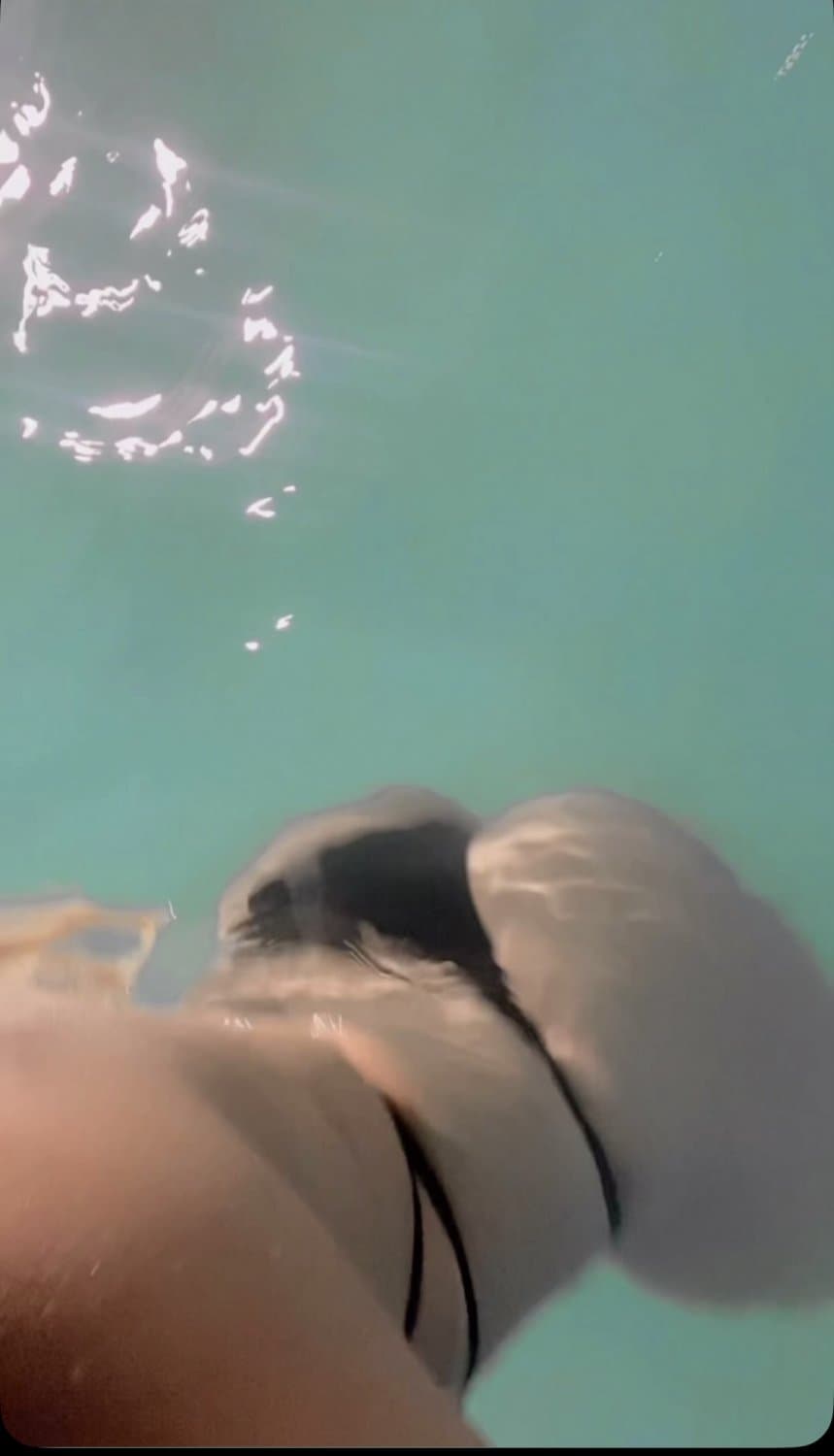 Click to view full size Morra puta de Chihuahua