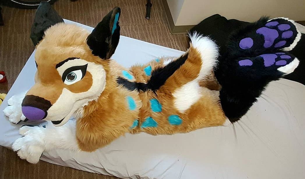 [FURRY] ?? infamous shiba/deer murrsuiter sex tapes (fřëÿäśħîbê)