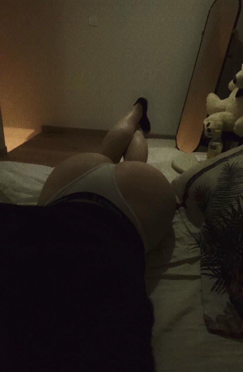 Belle petite chienne de Belgique