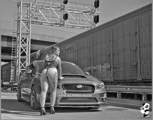 Click to view full size Lotus