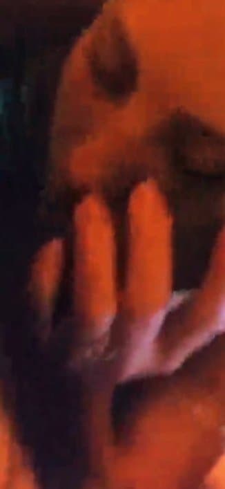 Wife amateur wife sucking cock