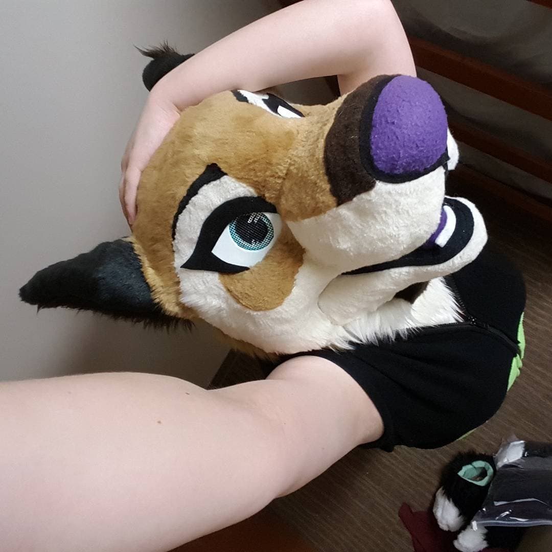 [FURRY] ?? infamous shiba/deer murrsuiter sex tapes (fřëÿäśħîbê)