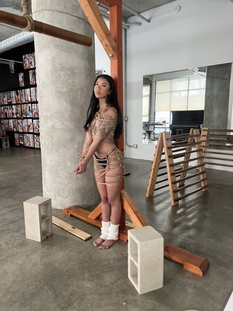 Click to view full size Ameena