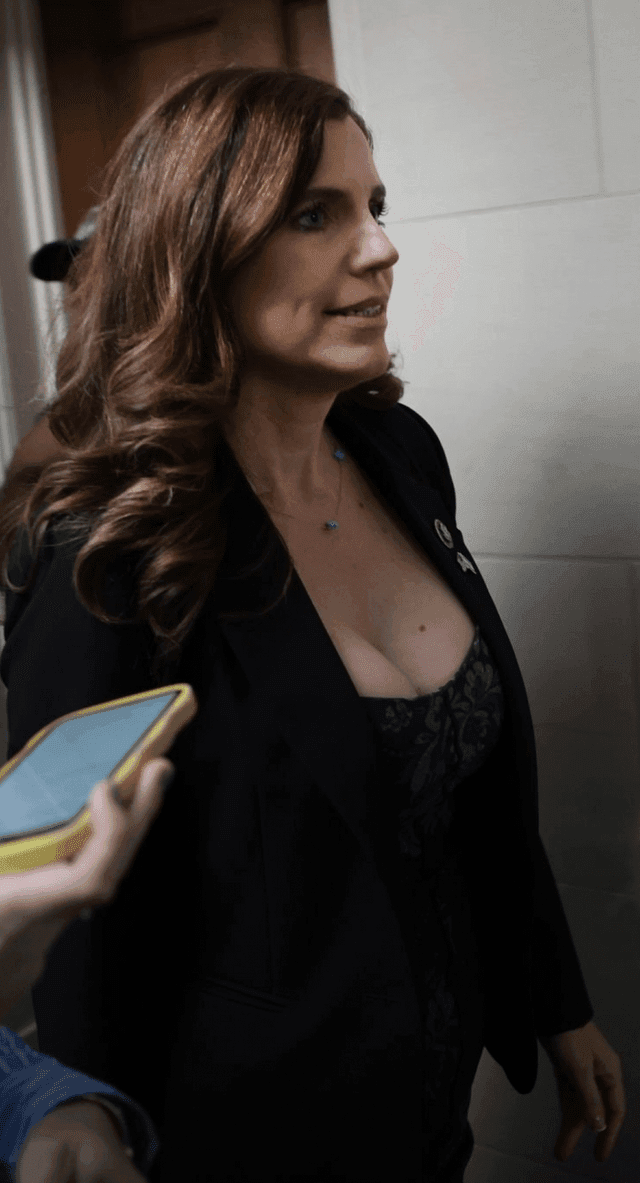 Nancy vs Nancy (Big Titty Conservative MILF vs Big Titty Liberal GILF)