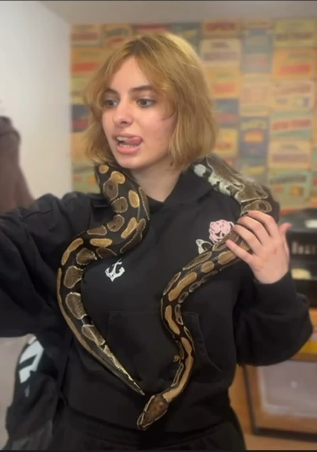 Cinderella Persian Slut