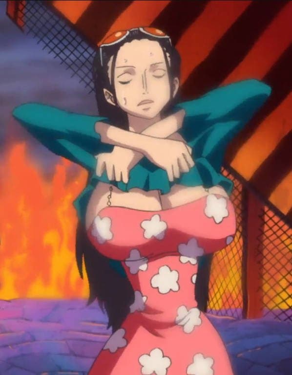 Nico Robin (Punk Hazard)