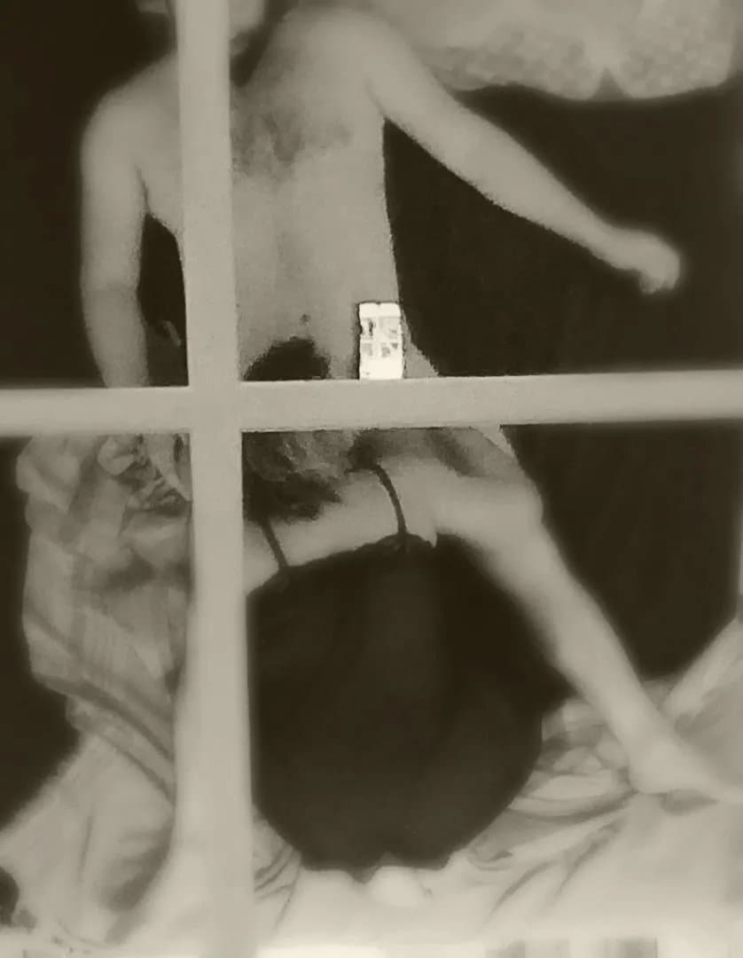 Click to view full size Pato de Belgrano