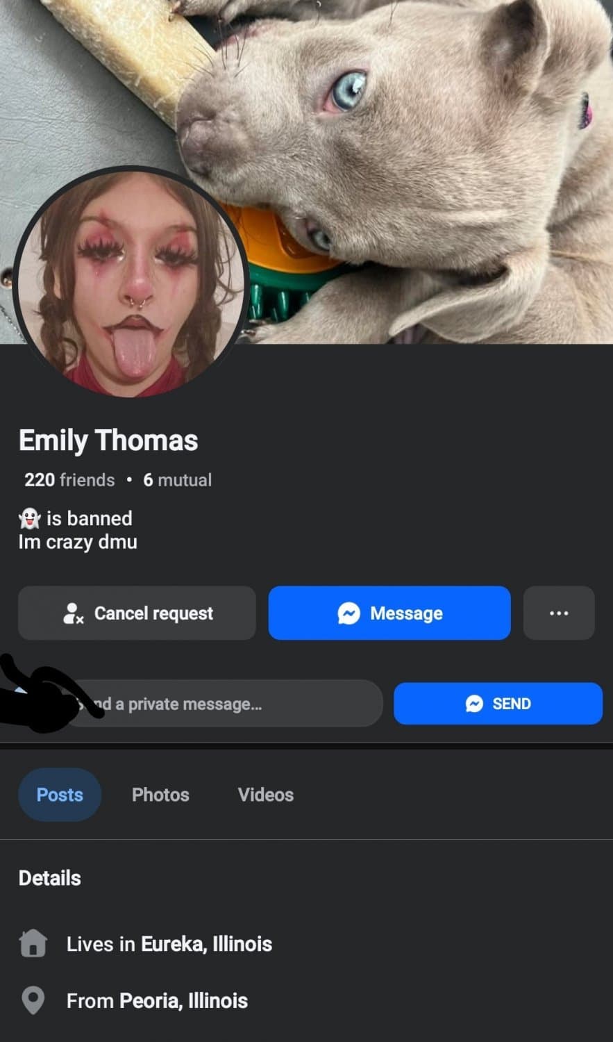 More of the illinois scamming whore emily thomas