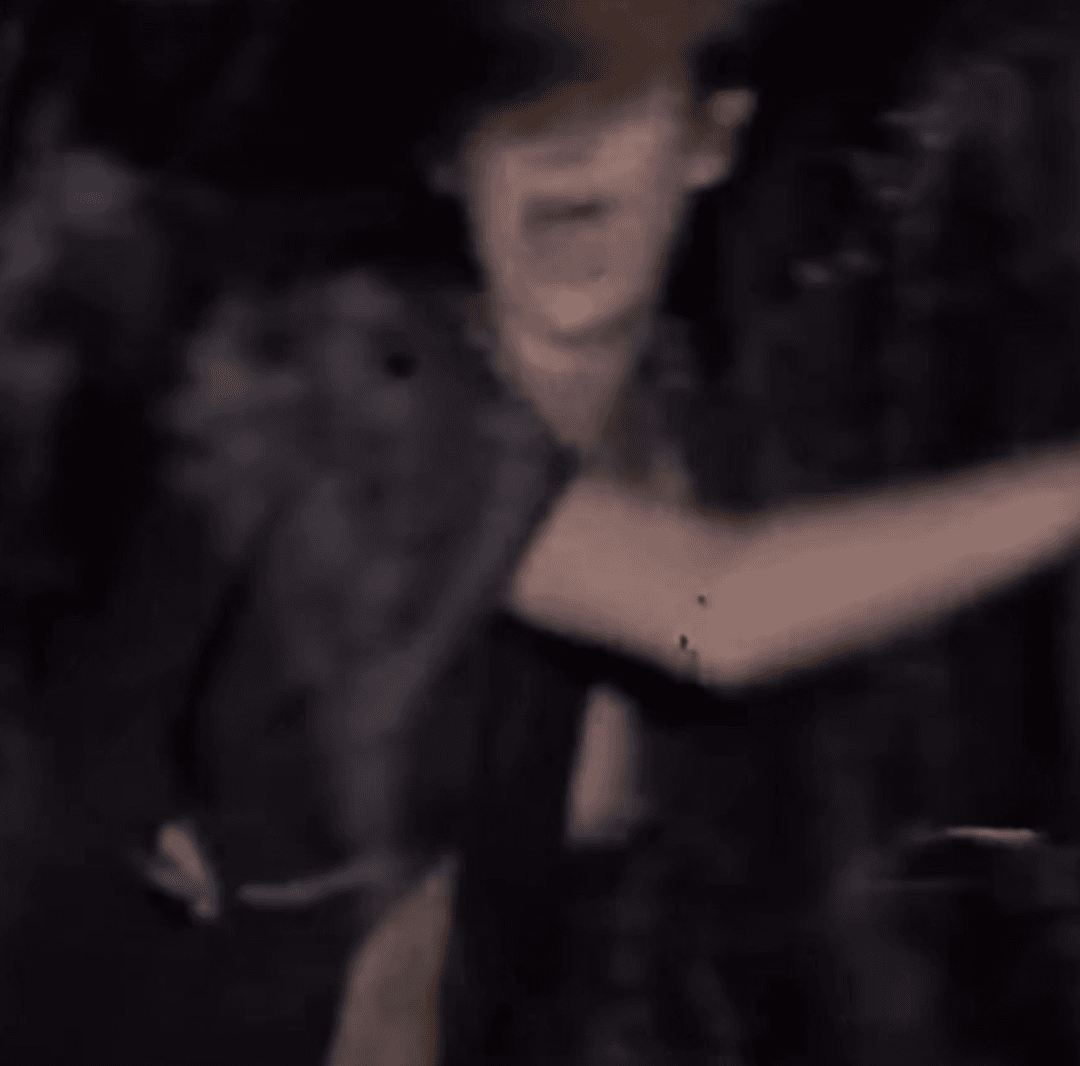 The Trees! They’re Alive!!! (Part 3)