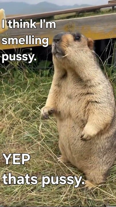 I smell pussy sexy nude spread pussy