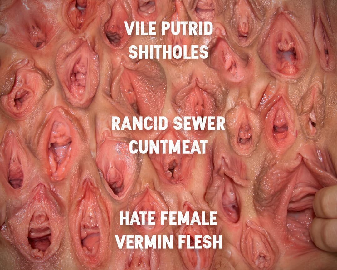 Dumb bitch, dumb cunt, dumb whore, worthless whoremeat slut