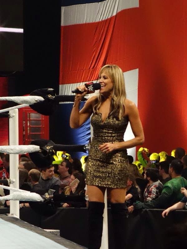 Lilian Garcia pre WWE fame shaking her titties in the club circa 2003