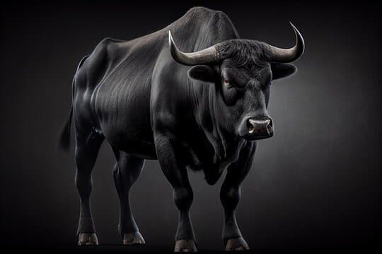 Click to view full size Captain Hook Dom Top Black Mamba Elite Edition Black Master Part 2 ♠️ ????