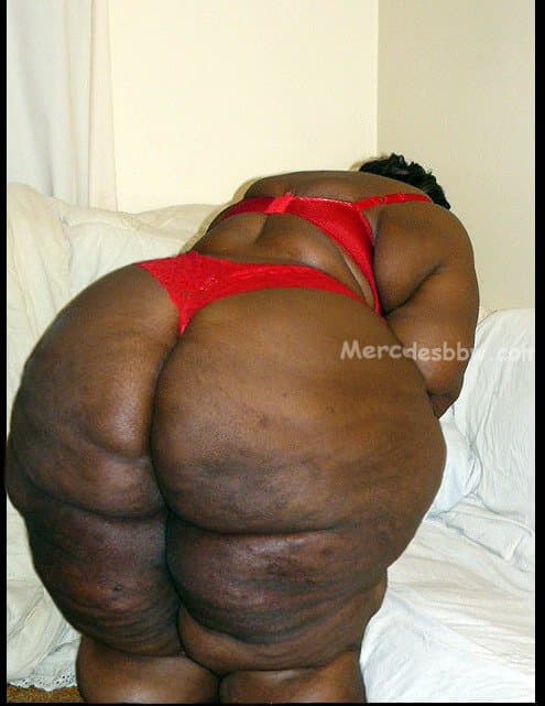 BIG OLE STANKIN BLACK ASSES ARE MY FAVORITE TYPES OF ASSES