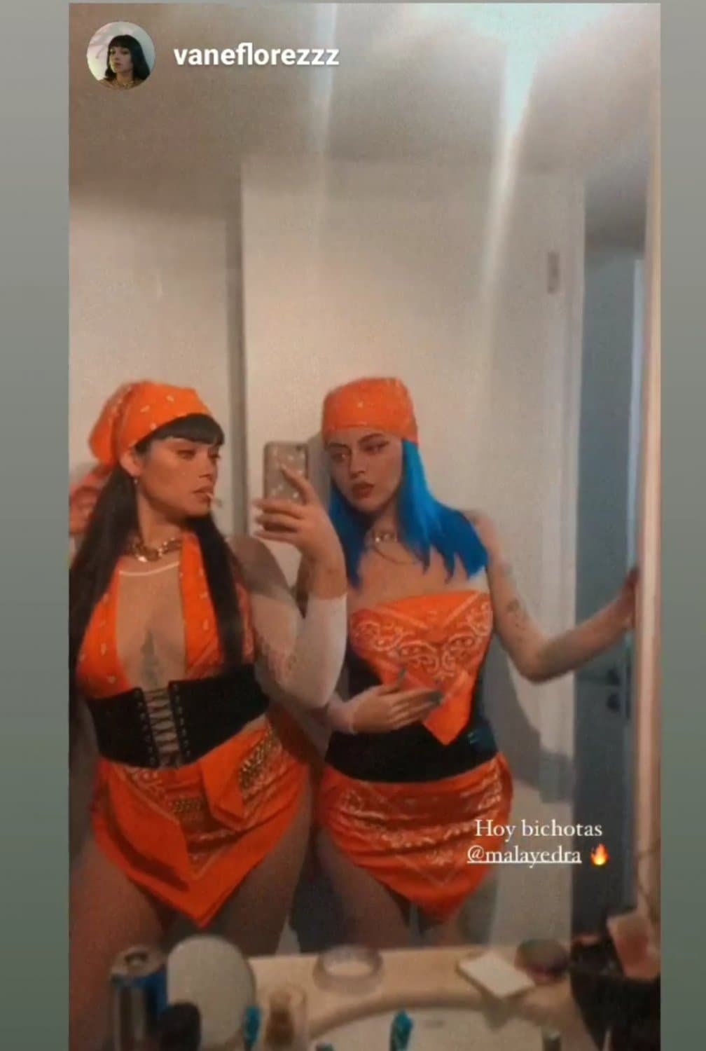 Malayedra chilena gogodancer