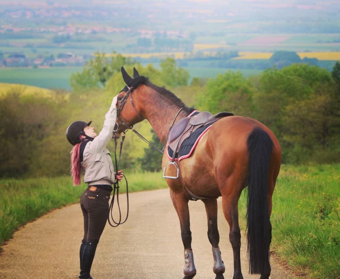 Chienne française à baiser