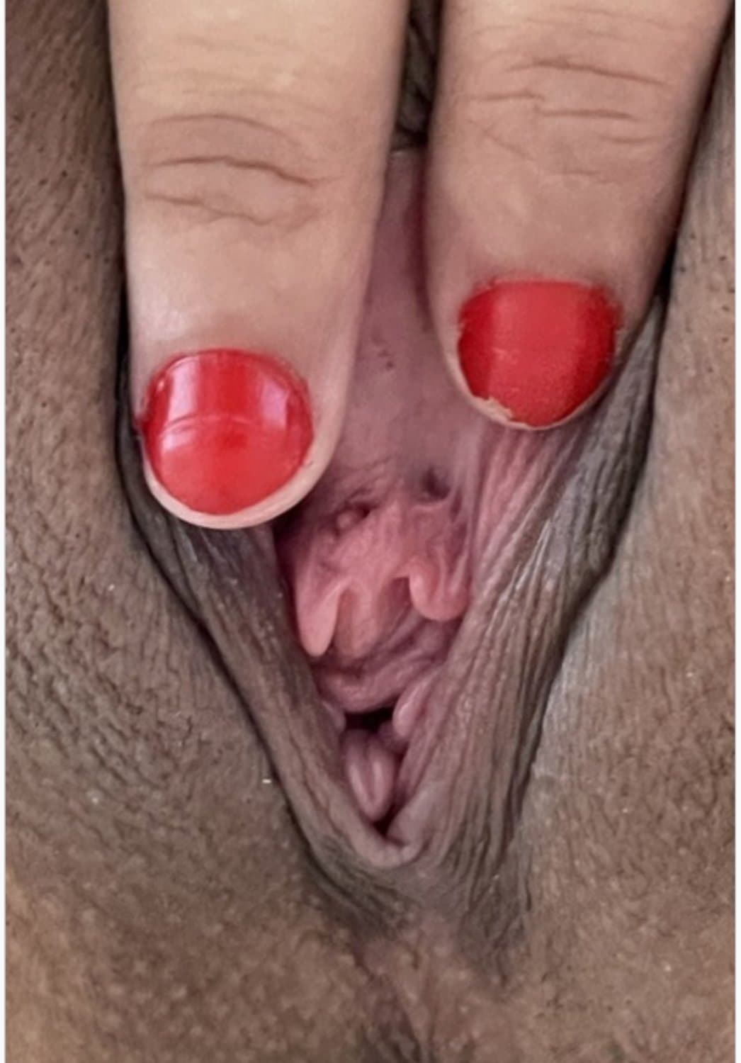 Pretty brunette babe Nina Nieves shows her shaved puffy pussy up close