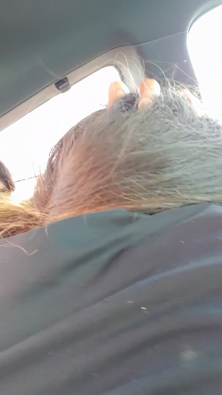 Mom gets filmed giving her sons school bully a blowjob to leave him alone