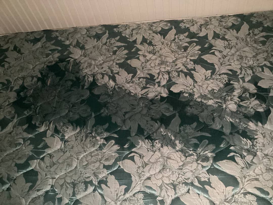 Webslut stayed up till 4am to squirt all over her bed whilst her parents slept next door ??‍???