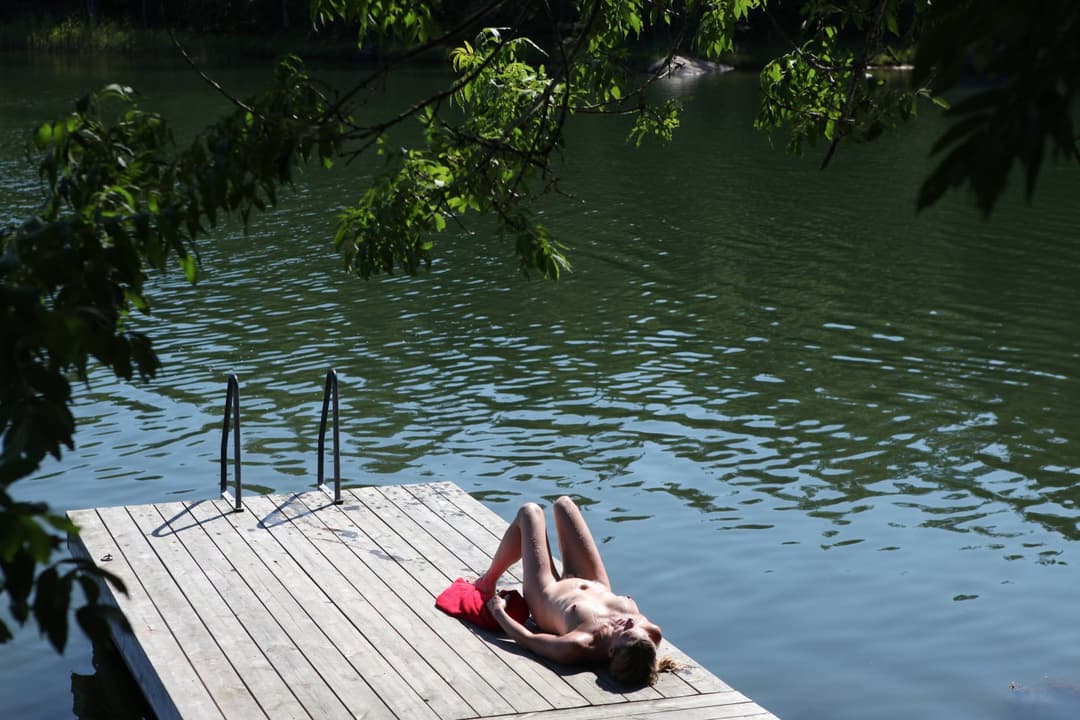 Lotta Swedish milf, real and not so real