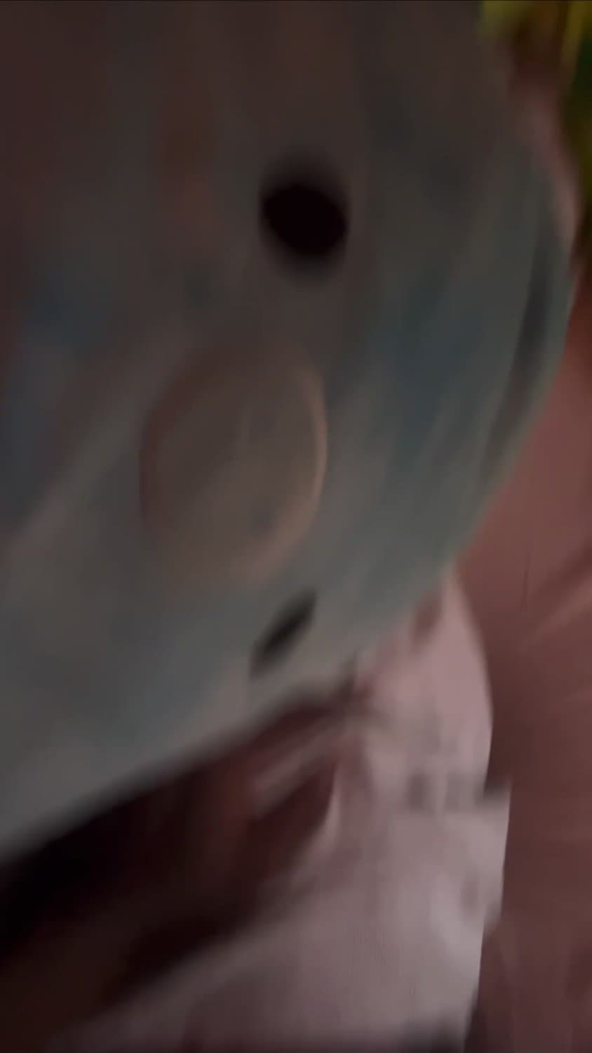 phat booty college thot lets me dry hump her