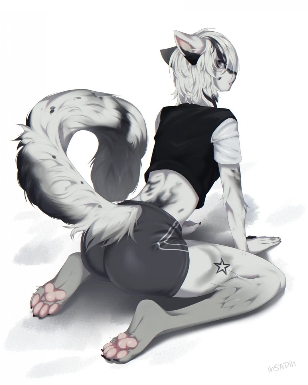 FURRY PAWS FURRY PAWS FURRY PAWS