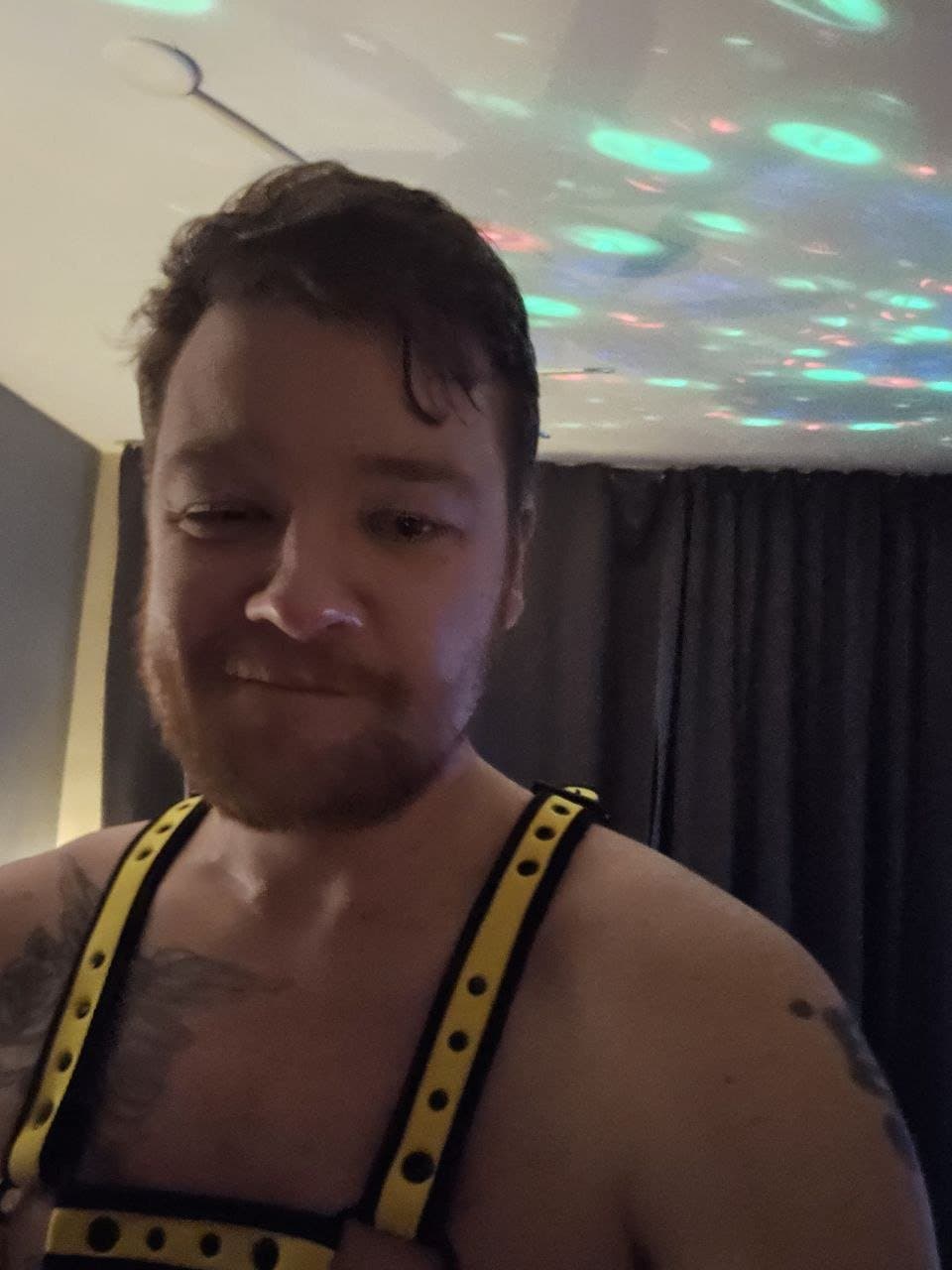 exhibition of the great faggot.    ?? ??Rijswijk30 Edwin Antonio se johannes  ???? ????