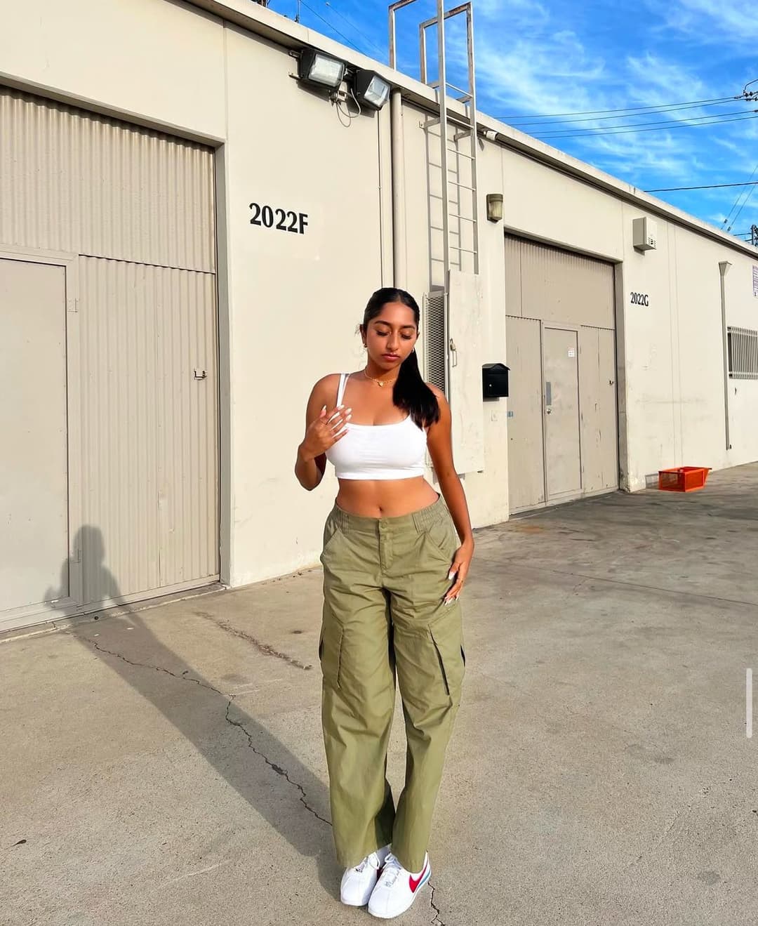 revazanak / revalicious - busty indian thot