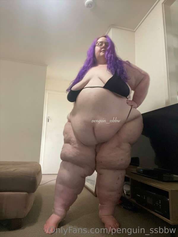 ssbbw penguin