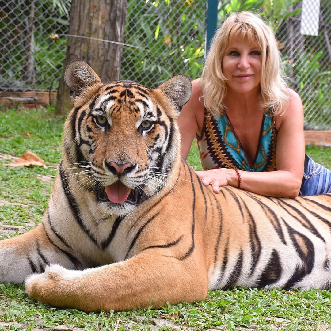 Next door neighbor is an escort