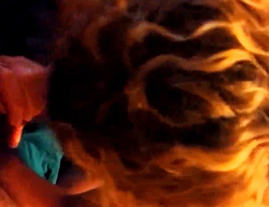 Wife blowjob horny wife sucking my cock