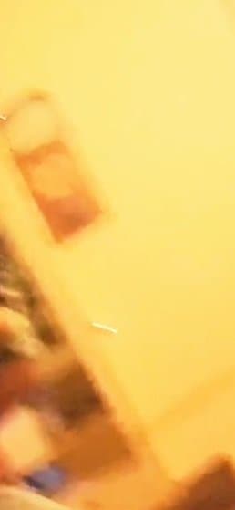 Wife amateur wife sucking cock