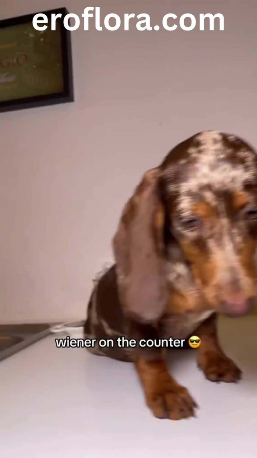 sexy dancing by hottest flora! A MUST WATCH!