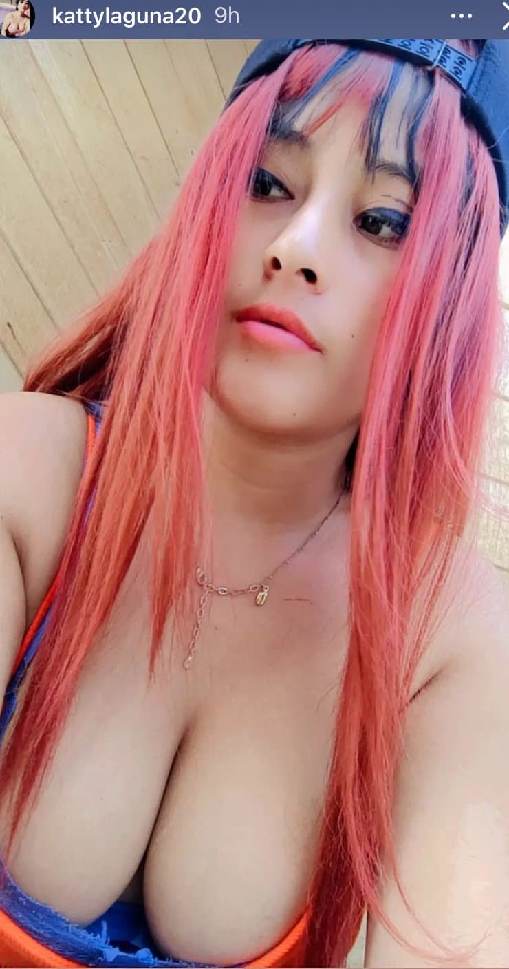 compilacion de putas peruanas chilenas